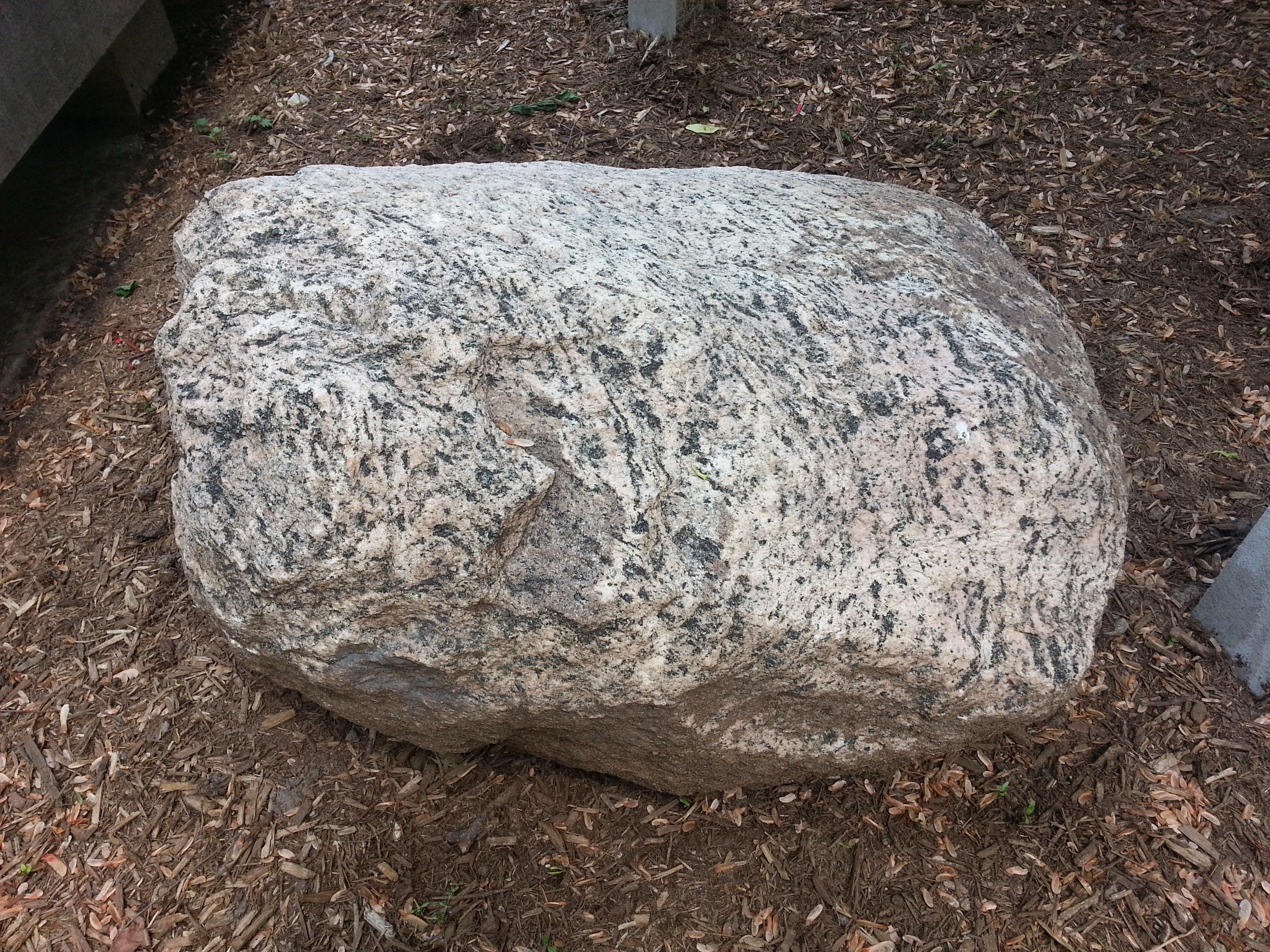 Gneiss